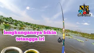 Sudah lama gak buat konten mancing || sekali ngonten dapat Mama Nila spek Bahenol