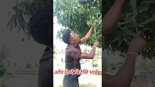 Hapsi Le Aap Tipdaicha #shorts #shortsfeed #shortvideo #youtubeshorts #trendingshorts #comedyshorts