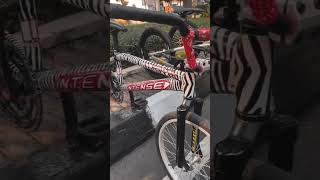 ZEBRA INTENSE BMX #shorts #bmx #balaponthel