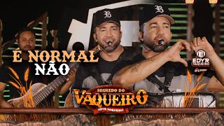 É NORMAL NÃO - Edyr Vaqueiro (Segredo do Vaqueiro)