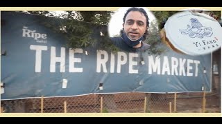 Ripe Market - Fun Market