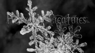 Heavenly Creatures - Snowflakes