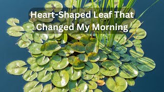 Heart Shaped Leaf That Changed My Morning