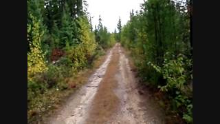 Hunting for grouse 09/21/2014