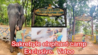 sakrebailu elephant camp // sakrebailu elephant training camp- best experience for kids