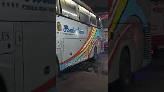 #rosaliaindah #transportasi #bus