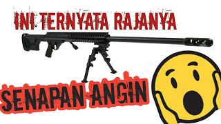 Ngerii Rajanya senapan angin