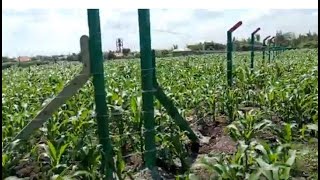 Land Fencing Completed By Top care Lands: You might Be Our Next Neighbour!