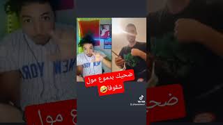 مول شقوفا