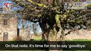 Lathallan In 90 Objects: The Copper Beech Tree