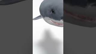 Shark 3D video please subscribe to channel to more 3D videos