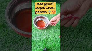 കട്ടൻ ചായ ഉണ്ടോ?? ഇങ്ങനെ ചെയ്താൽ /poppy vlogs