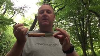 Custom Woodsman Bushcraft Knife by Simon Hardie Ashdown Forrest Craft