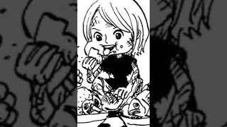 Bonney memanipulasi umur Luffy, Jinbe & Chopper 😂 #onepiece #onepiece1064 #shorts