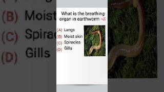 What' is the breathing organ in earthworm 🪱🫁#gk #map