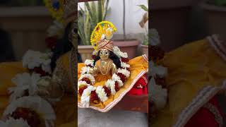 কেমন লাগছে আমাকে 🤓?? #viral #laddugopalstatus #laddugopal #gopal #harekrishna #radheradhe