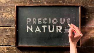 2015 Precious Nature