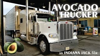 Avocado Trucker