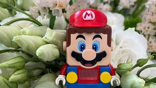 Happy Interactive Lego Mario Live Stream!