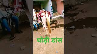 घोड़ी डांस #song #music #bhojpuri #dj #gana #dance #viralvideo #ytshorts #viralshorts