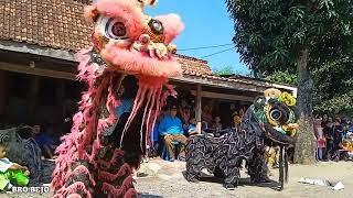 barongsai new PANDAWA