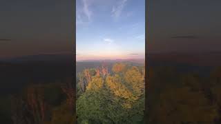 Bickle Knob #westvirginia #shorts #high #summer #forest #wildlife #bear #countryroads