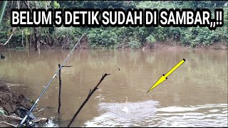 IKAN PALING BAR BAR.... MANCING IKAN TAWES UMPAN USUS AYAM