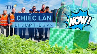 Chuyện chiếc làn đi khắp thế gian