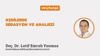 Kedilerde Sedasyon ve Analjezi ''Doç. Dr. Latif Emrah Yanmaz''