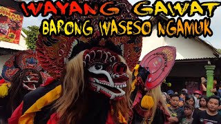 Sruitt pisan langsung kabrok || WAYANG GAWAT 243 feat Turonggo jos original