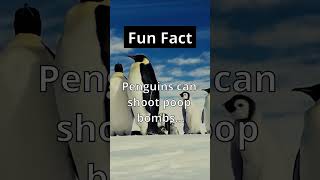 Fun Fact: 🐧💩 They Throw What!?!? #shorts #facts #nature #viral #funny