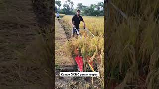 Kamco honda GX 160 pawar reepar lene ke liye contact Kre surajpur 9131468640 #kisan #kisanfarming