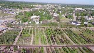 Above the Boise Nursery