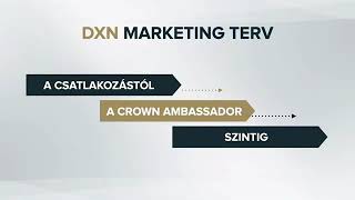 DXN marketingterve a csatlakozástól a Crown Ambassador szintig