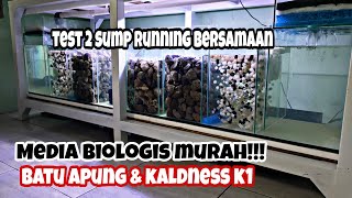 Setting !!! Media Filter Biologis Murah Di Sump filter sistem Paralel. || batu apung & kaldness K1