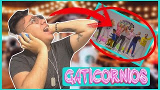 Cantando GATICORNIOS de AMARA QUE LINDA | Eduardo LeCo