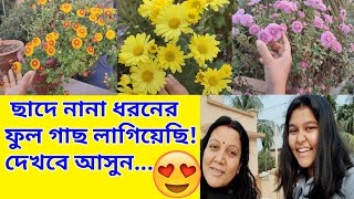 বাড়ির ছাদে কি কি ফুলগাছ লাগালে দেখতে সুন্দর হয়? Best Winter Flowers | Roof Gardening | Bangla Vlog