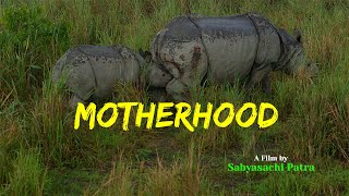 Motherhood in Wild #india | #rhino #motherchildbond | Scenic Relaxation Film in 4K