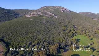 Dehesa Boyal, Puertollano - Diputación de Ciudad Real