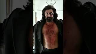 SAARI DUNIYA JALA DENGE | ANIMAL| RANBHIR KAPOOR #shorts #bobydeol #ranbirkapoor #animal