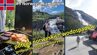 #9 Norwegia Kamperem - wodospady Vøringfossen i Langfossen oraz test steka z wieloryba