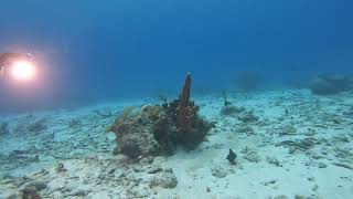 Playa Lagun, January 11th 2024, Curacao