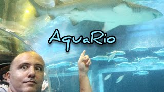 Visite o AquaRio | O maior Aquário da América do Sul