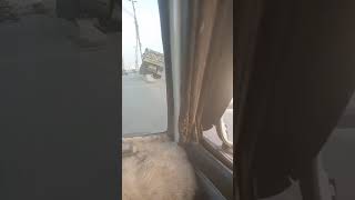 Dumper driver sleep during driving at Nipa chorangi Karachi. 11 September 2024