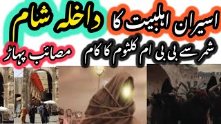 Masaib e Dakhla e Ahl e Haram Darbar e Yazeed | G Murtaza Ameeni ||Haq Bool