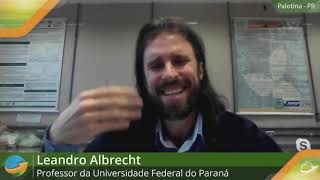 Resistência múltipla da Buva chega ao 2,4-D. Estudos em andamento tentam entender o tamanho do probl