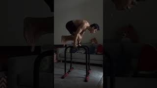 Ankle weighted front lever #shorts #calisthenics #gym #2024 #workout