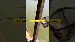 Mancing Jatigede Sanggutan Siang Dirakit Jalok#shots