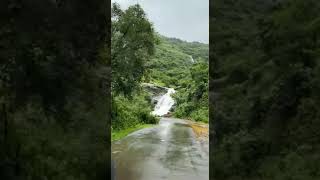 beautiful nature whatsapp status | river view point in nalamala forest | water flowing in nature |