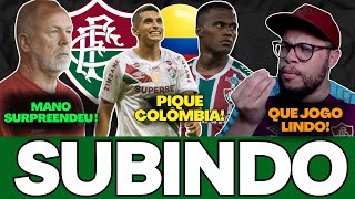 UM FLUMINENSE SOBERANO, FLU JOGOU DEMAIS, SAINDO DA ZONA E MANO SURPREENDENDO